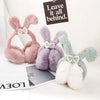 Cache Oreille Lapin