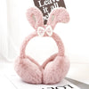 Cache Oreille Lapin